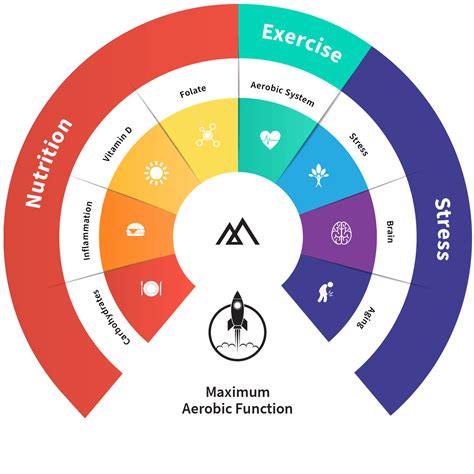 maffetone supplements|MAF Method: Here's How The Maffetone Method Of .